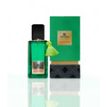عطر بخاخ فان فير اي كي ليذر 100 مل - Enteplin